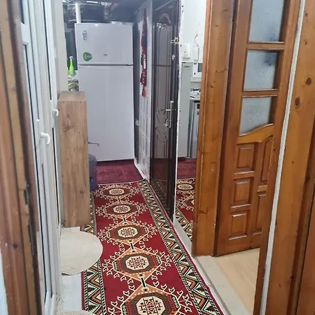 House In The Ancient Al-fateh Area Lejlighed Istanbul